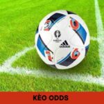 Hướng Dẫn Đọc Kèo Odds Và Canh Odds Chuẩn Sunwin
